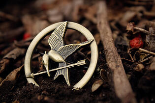 hunger games guide to landscape architecture rfp